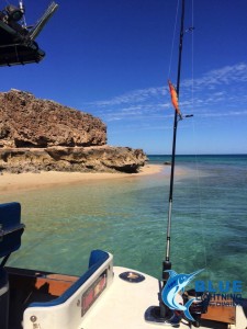 Montebello Islands Fishing Charter WA