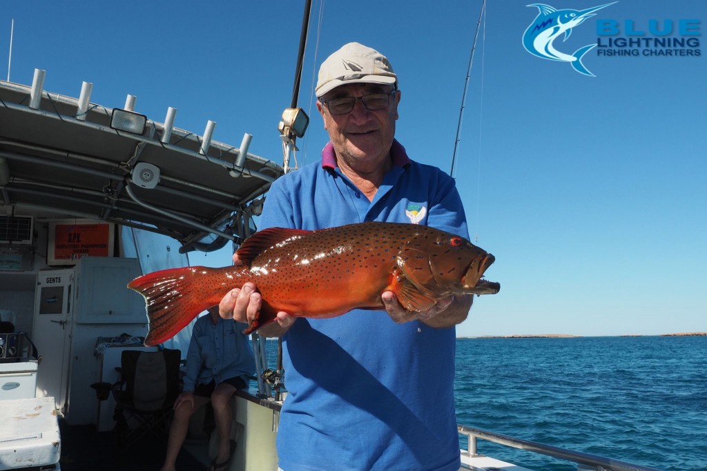coral trout Montebello Islands fishing charter