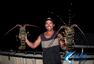 Crayfish WA Montebello Islands