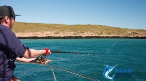 WA fishing charter