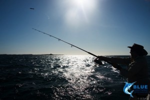WA fishing charter