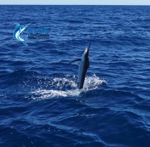 Sailfish 7 day fishing charter