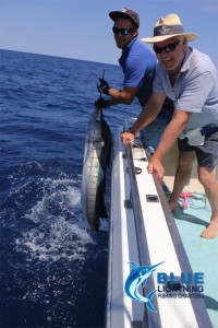 sailfish fishing charter WA