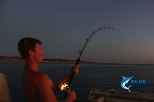 Montebello Islands fishing