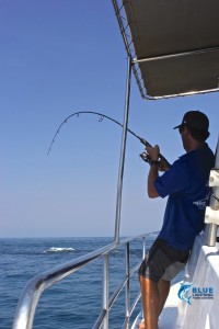 Chad Mills Fishing