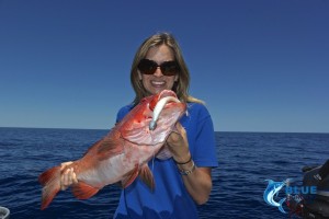 private group charter Coral trout