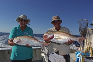 WA Fishing charter gold band snapper