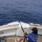 Theresa fighting her estimated 300kg marlin
