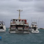 Abrolhos Islands fishing