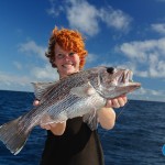Abrolhos Islands Batavia Wreck Dhu Fish