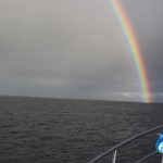 Rainbow WA fishing charter