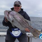Dhu Fish Abrolhos Islands Western Australia Fishing Charter