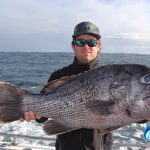 Dhu Fish WA fishing Charter Abrolhos Islands