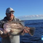 Dhu Fish Abrolhos Islands fishing charter