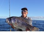 Dhu fish Abrolhos Islands fishing