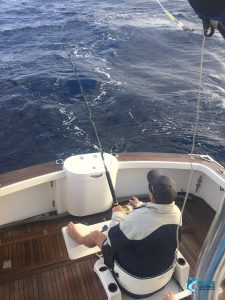Billfish Abrolhos Islands fishing