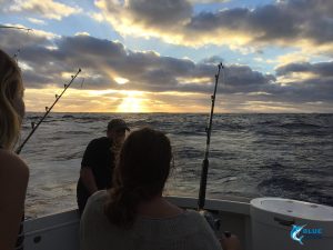 Bree Halco Abrolhos Islands fishing tournament