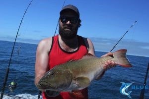 Coral Trout Montebello Islands fishing charter blue lightning
