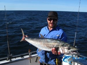 Spanish Mackerel WA best fishing montebello isalnds blue lightning fishing charters