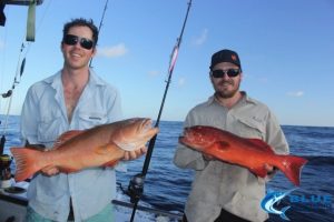 Coral Trout Montebello Islands fishing charter
