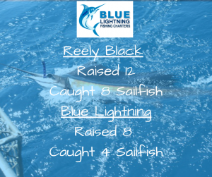 Reely Black 8 SailfishBlue Lightning6 Sailfish (1)