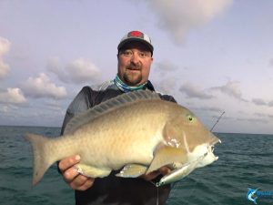 Anthony Baldchin Groper Blue Lightning WA fishing charters