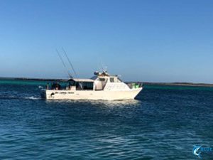Blue Lightning Abrolhos Islands fishing boat