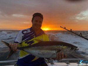 yellow fin tuna abrolhos islands fishing