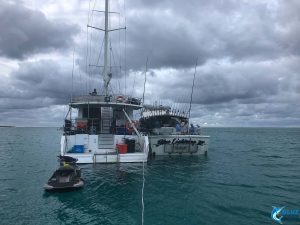 Blue Lightning Charters live aboard fleet abrolhos islands wa fishing charter