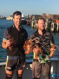 WA crayfish abrolhos islands fishing charter