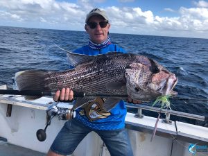 Murray Dhu Fish Abrolhos Islands WA fishing
