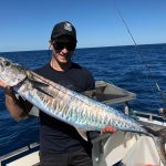 spanish mackerel WA blue lightning charters