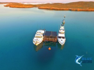 Blue Lightning Charter Montebello Islands fishing