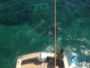 Reef fishing Dampier