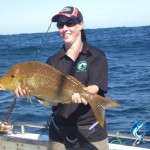 Abrolhos Islands fishing highlights