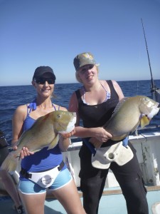 Abrolhos Islands Fishing Charters 2015
