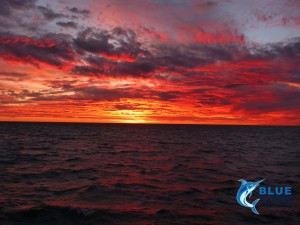 Sunset Abrolhos Islands Blue Lightning Charters