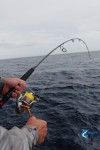 Batavia wreckage Abrolhos Islands fishing
