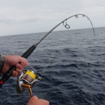 Batavia wreckage Abrolhos Islands fishing