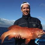 coral trout on soft plastic Abrolhos Islands
