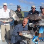 Dhu fish WA Abrolhos Islands fishing charters