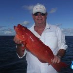 Coral Trout Abrolhos Islands fishing charters adventures WA