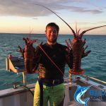Crayfish Abrolhos Islands