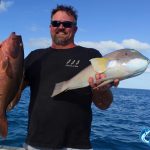 Coral trout and baldchin grouper Abrolhos Islands