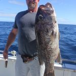 Dhu fish Abrolhos Islands WA