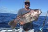 dhu fish Abrolhos Islands WA