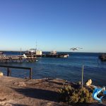 Pigeon Island Abrolhos Islands WA fishing adventure
