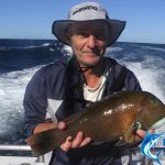 baldachin grouper WA fishing adventure