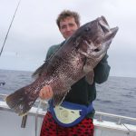 Dhu fish Abrolhos Islands fishing Charter WA best fishing charter