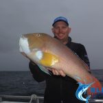 Baldchin Grouper WA best fishing charter Abrolhos Islands